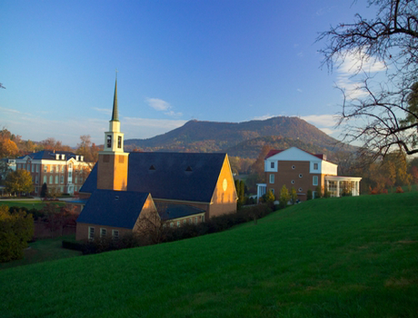 霍林斯大学  Hollins University