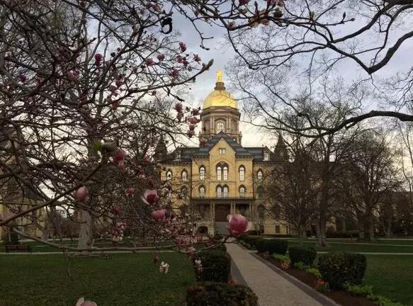 美国圣母大学