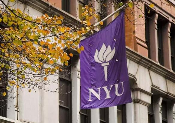 纽约大学
